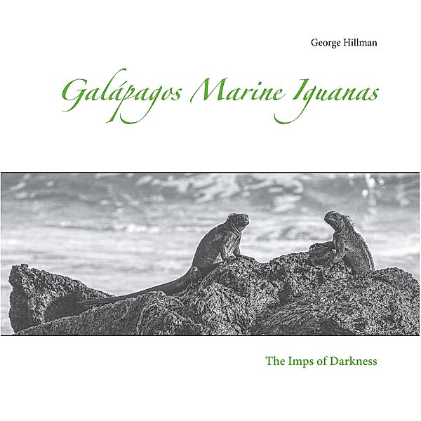 Galápagos Marine Iguanas, George Hillman