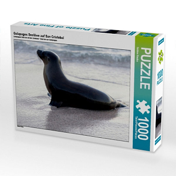 Galapagos Seelöwe auf San Cristobal (Puzzle), Sabine Reuke