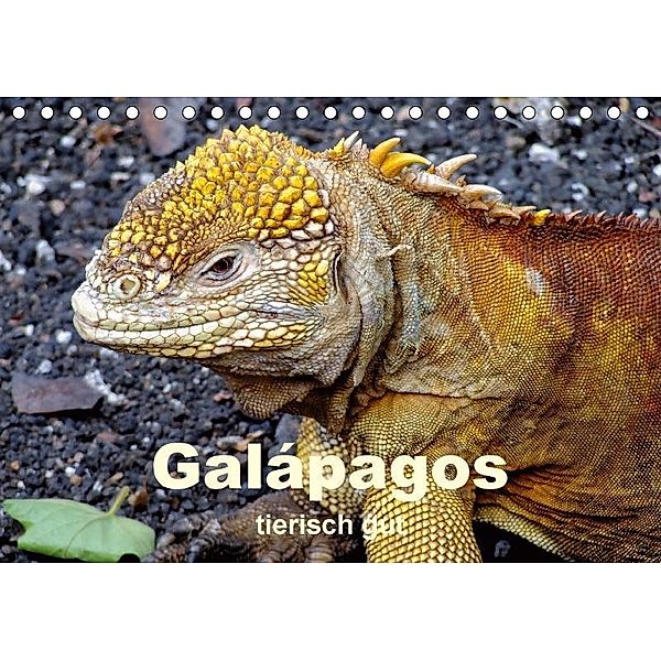 Galápagos - tierisch gut (Tischkalender 2017 DIN A5 quer), Rudolf Blank