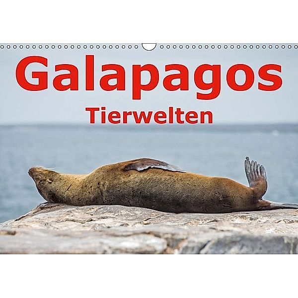 Galapagos - Tierwelten (Wandkalender 2017 DIN A3 quer), Thomas Leonhardy