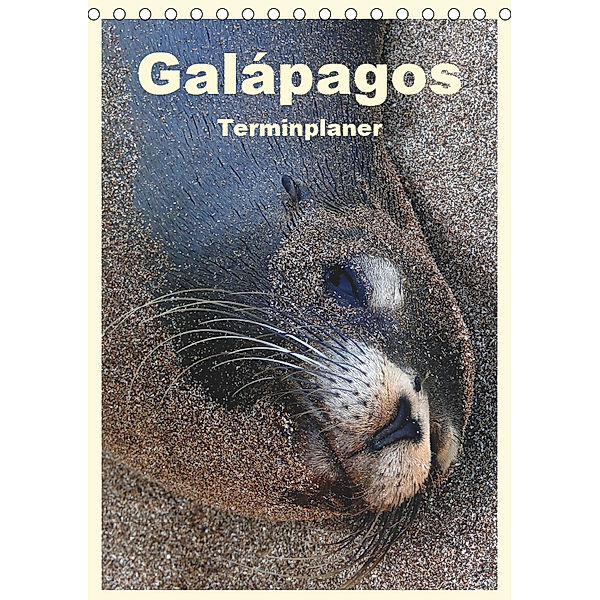 Galápagos (Tischkalender 2019 DIN A5 hoch), Rudolf Blank