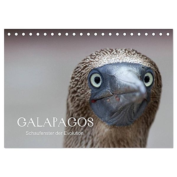 Galapagos (Tischkalender 2024 DIN A5 quer), CALVENDO Monatskalender, Ralf Weise