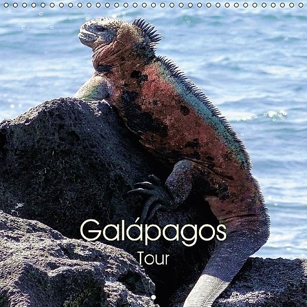 Galápagos Tour (Wall Calendar 2017 300 × 300 mm Square), Rudolf Blank