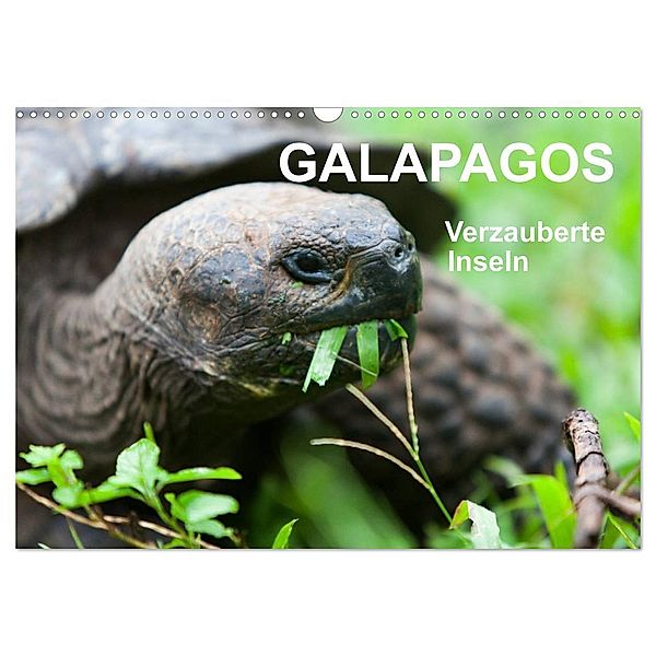 Galapagos. Verzauberte Inseln (Wandkalender 2024 DIN A3 quer), CALVENDO Monatskalender, Sabine Reuke