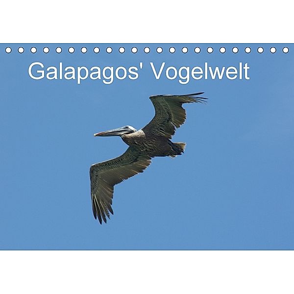 Galapagos' Vogelwelt (Tischkalender 2018 DIN A5 quer), Michael Schuster