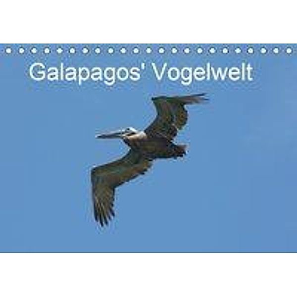 Galapagos' Vogelwelt (Tischkalender 2020 DIN A5 quer), Eva Schuster