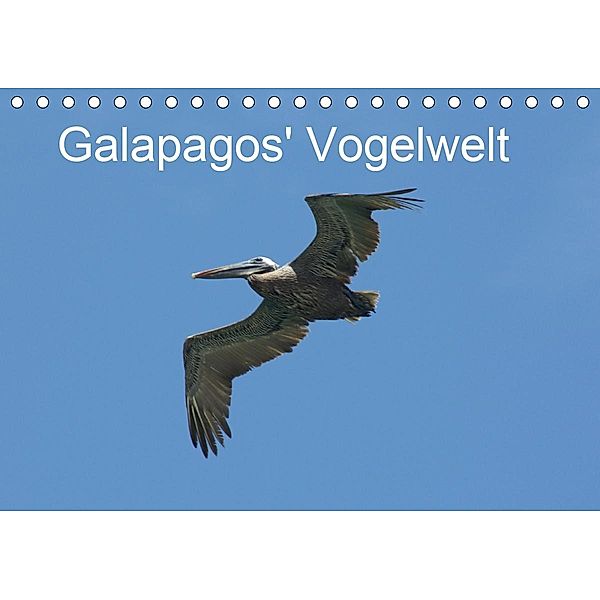 Galapagos' Vogelwelt (Tischkalender 2021 DIN A5 quer), Michael Schuster