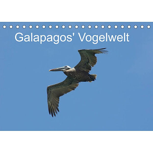 Galapagos' Vogelwelt (Tischkalender 2022 DIN A5 quer), Michael und Eva Schuster