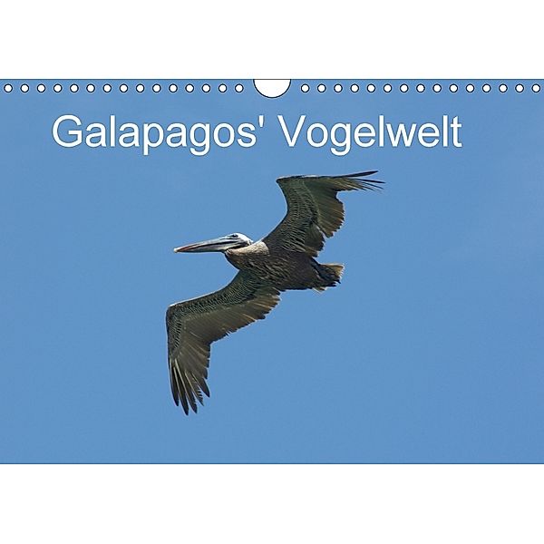 Galapagos' Vogelwelt (Wandkalender 2018 DIN A4 quer), Michael Schuster