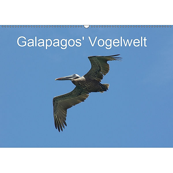 Galapagos' Vogelwelt (Wandkalender 2019 DIN A2 quer), Michael Schuster