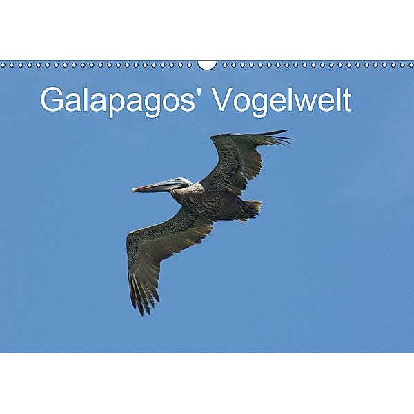 Galapagos' Vogelwelt (Wandkalender 2019 DIN A3 quer), Michael Schuster