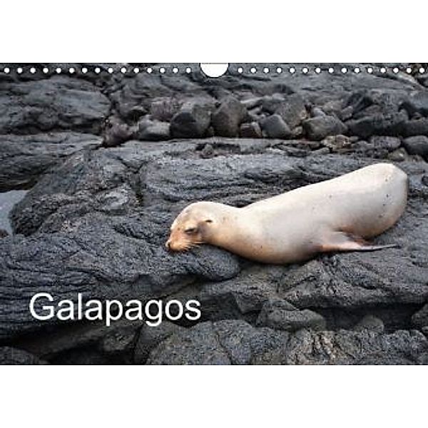 Galapagos (Wandkalender 2015 DIN A4 quer), De Freitas, Huwiler, Heinz Nienhaus