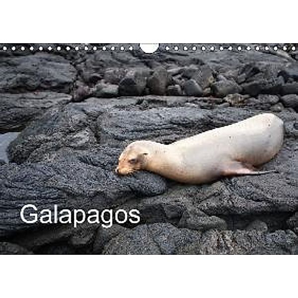 Galapagos (Wandkalender 2016 DIN A4 quer), De Freitas, Stefan Huwiler, Heinz Nienhaus
