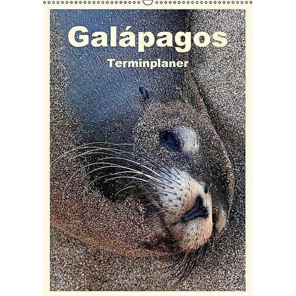 Galápagos (Wandkalender 2017 DIN A2 hoch), Rudolf Blank