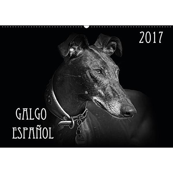 Galgo Español 2017 (Wandkalender 2017 DIN A2 quer), Andrea Redecker