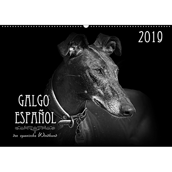 Galgo Español - der spanische Windhund 2019 (Wandkalender 2019 DIN A2 quer), Andrea Redecker