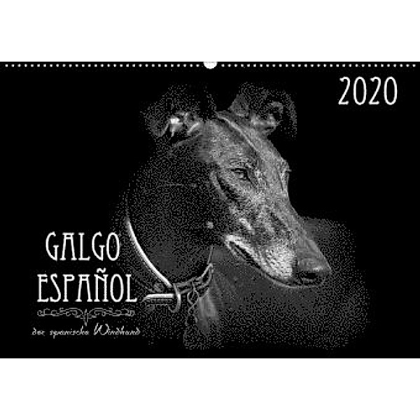 Galgo Español - der spanische Windhund 2020 (Wandkalender 2020 DIN A2 quer), Andrea Redecker, 4pfoten-design