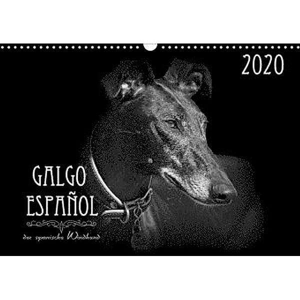 Galgo Español - der spanische Windhund 2020 (Wandkalender 2020 DIN A3 quer), Andrea Redecker, 4pfoten-design