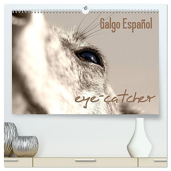 Galgo eye-catcher (hochwertiger Premium Wandkalender 2025 DIN A2 quer), Kunstdruck in Hochglanz, Calvendo, Andrea Redecker