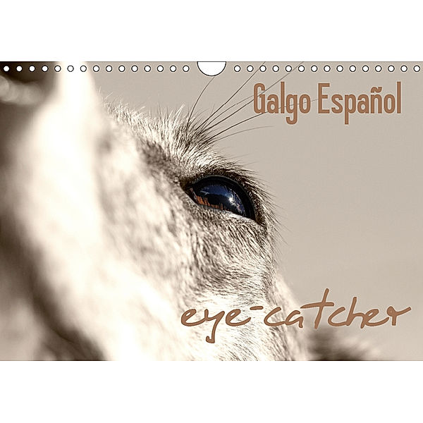 Galgo eye-catcher (Wandkalender 2019 DIN A4 quer), Andrea Redecker