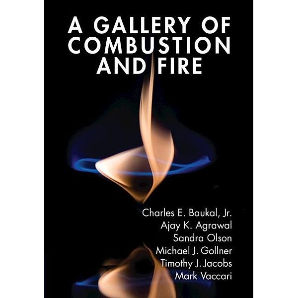 Gallery of Combustion and Fire, Jr. Charles E. Baukal