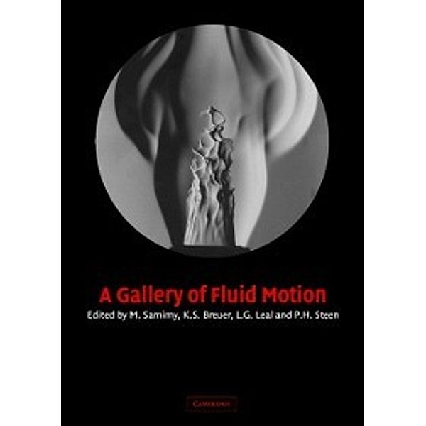 Gallery of Fluid Motion, K. S. Breuer, L. G. Leal, M. Samimy, P. H. Steen