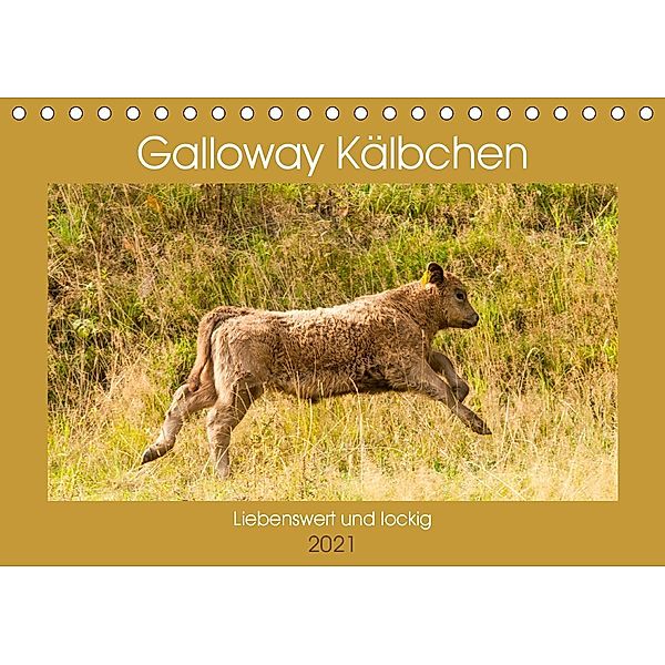 Galloway Kälbchen - Liebenswert und lockig (Tischkalender 2021 DIN A5 quer), Meike Bölts