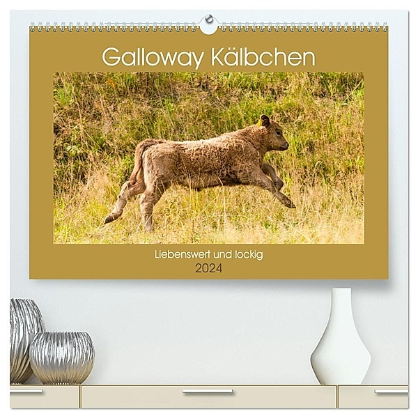 Galloway Kälbchen - Liebenswert und lockig (hochwertiger Premium Wandkalender 2024 DIN A2 quer), Kunstdruck in Hochglanz, Meike Bölts