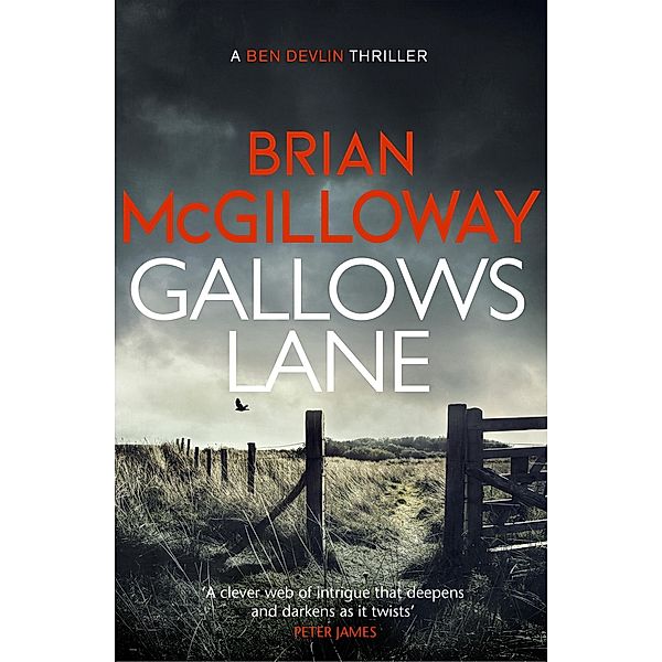 Gallows Lane / Ben Devlin Bd.2, Brian McGilloway