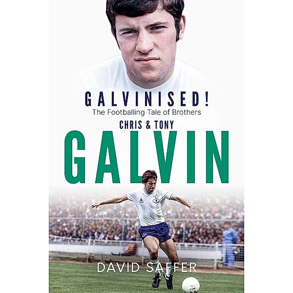 Galvinised, David Saffer
