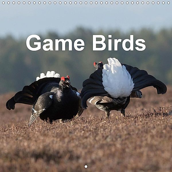 Game Birds (Wall Calendar 2021 300 × 300 mm Square), Pete Walkden