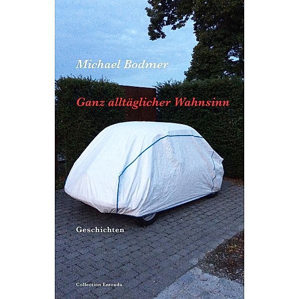 Ganz alltäglicher Wahnsinn, Michael Bodmer