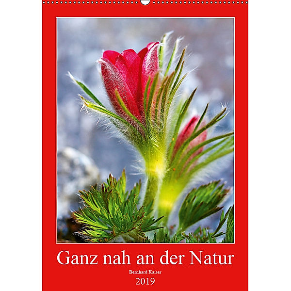 Ganz nah an der Natur (Wandkalender 2019 DIN A2 hoch), Bernhard Kaiser