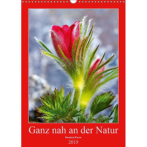 Ganz nah an der Natur (Wandkalender 2019 DIN A3 hoch), Bernhard Kaiser