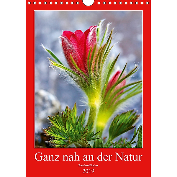 Ganz nah an der Natur (Wandkalender 2019 DIN A4 hoch), Bernhard Kaiser