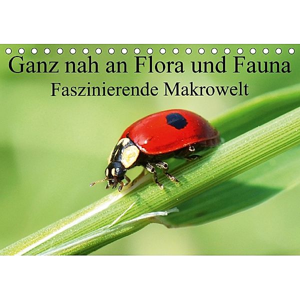 Ganz nah an Flora und Fauna (Tischkalender 2018 DIN A5 quer), Christina Fuller