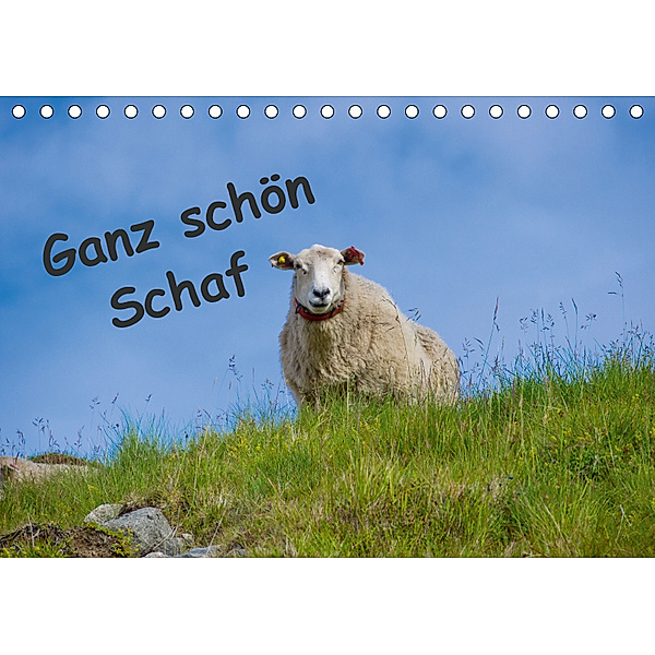 Ganz schön Schaf (Tischkalender 2019 DIN A5 quer), Kathrin Eimler