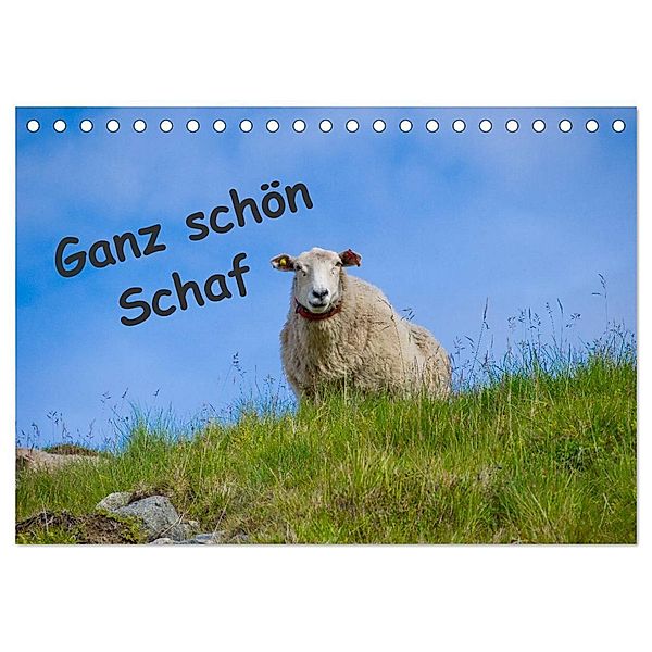 Ganz schön Schaf (Tischkalender 2025 DIN A5 quer), CALVENDO Monatskalender, Calvendo, Kathrin Eimler