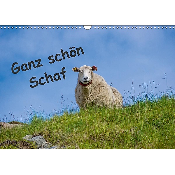 Ganz schön Schaf (Wandkalender 2020 DIN A3 quer), Kathrin Eimler