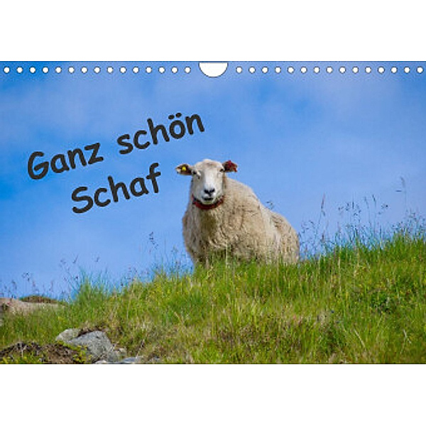 Ganz schön Schaf (Wandkalender 2022 DIN A4 quer), Kathrin Eimler