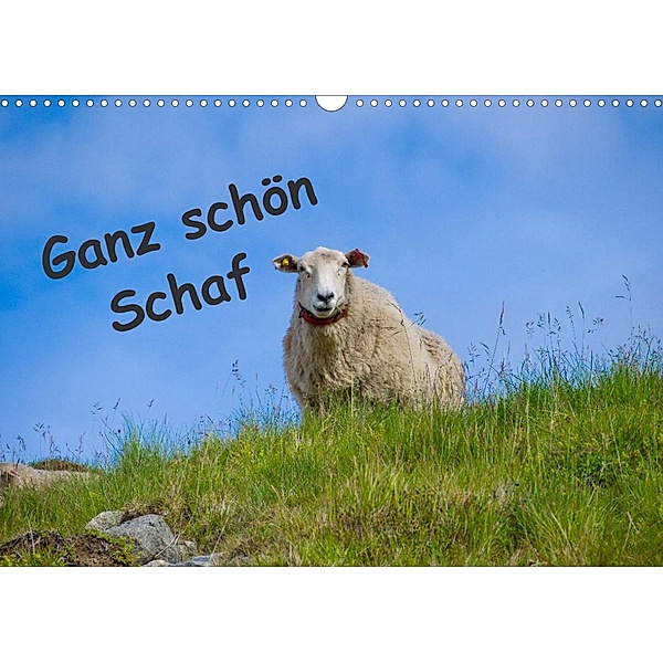 Ganz schön Schaf (Wandkalender 2023 DIN A3 quer), Kathrin Eimler