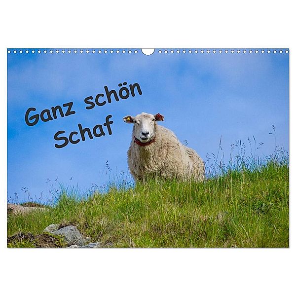 Ganz schön Schaf (Wandkalender 2025 DIN A3 quer), CALVENDO Monatskalender, Calvendo, Kathrin Eimler