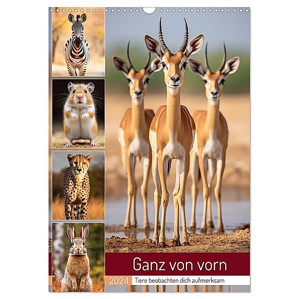 Ganz von vorn (Wandkalender 2024 DIN A3 hoch), CALVENDO Monatskalender, Kerstin Waurick