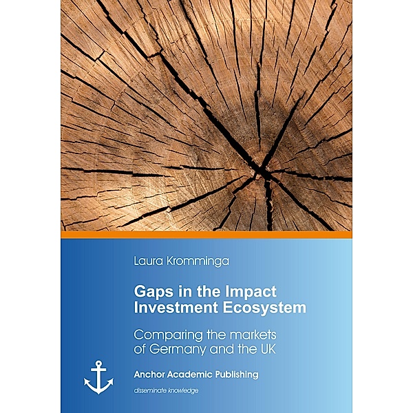 Gaps in the Impact Investment Ecosystem, Laura Kromminga