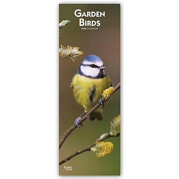 Garden Birds 2020, Browntrout Publishers