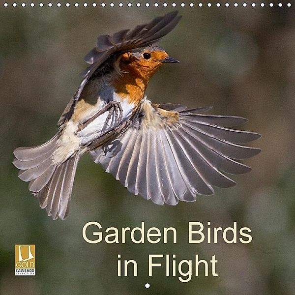 Garden Birds in Flight (Wall Calendar 2017 300 × 300 mm Square), John Crabb