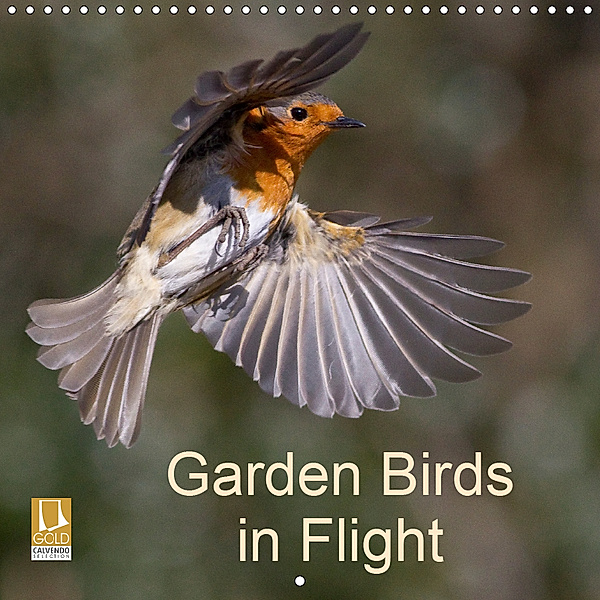 Garden Birds in Flight (Wall Calendar 2019 300 × 300 mm Square), John Crabb