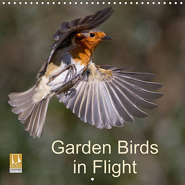 Garden Birds in Flight (Wall Calendar 2023 300 × 300 mm Square), John Crabb