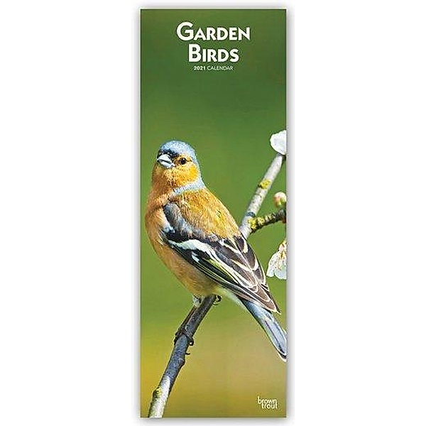 Garden Birds - Singvögel 2021, BrownTrout Publishers