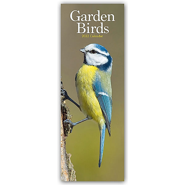 Garden Birds - Singvögel 2022, Avonside Publishing Ltd